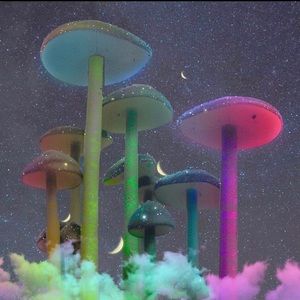 Meet your Posher, Caden